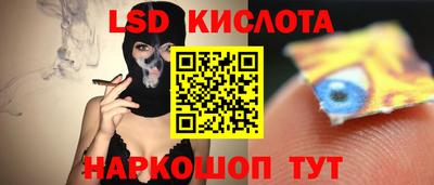 spice Краснодар