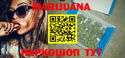 сатива Краснознаменск