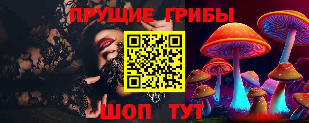 Галлюциногенные грибы Psilocybe Каменка
