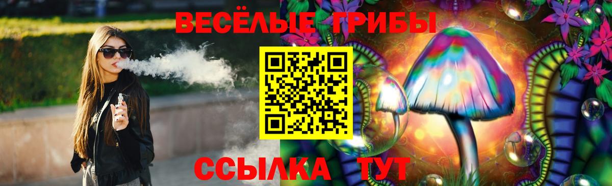 Псилоцибиновые грибы Psilocybe  Вход с VPN  где продают   Каменка  Галлюциногенные грибы ЛСД 