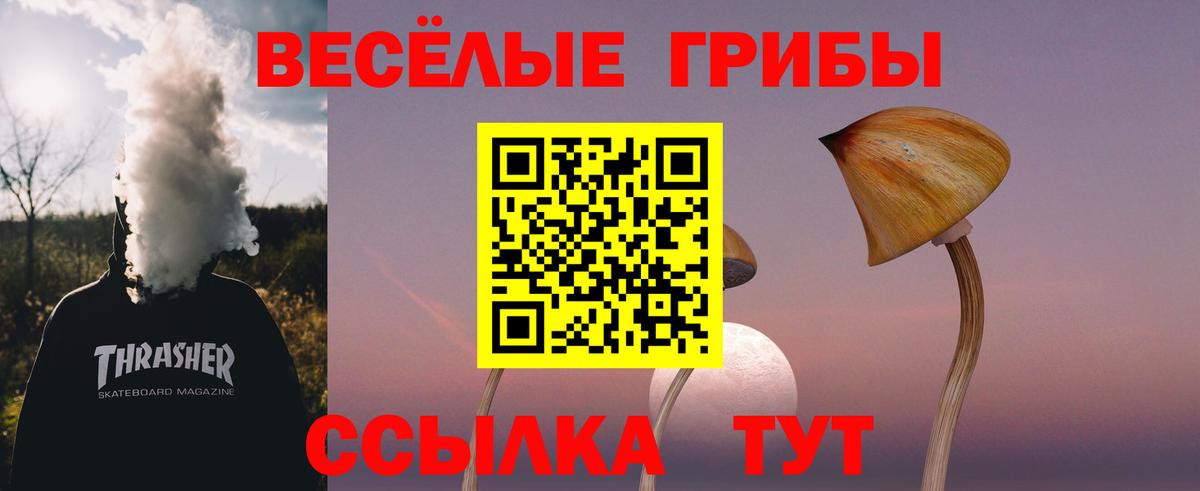 Каменка  Экстази  MDMA  ГАШИШ  Мефедрон   КОКАИН  Вход с VPN  Каннабис 